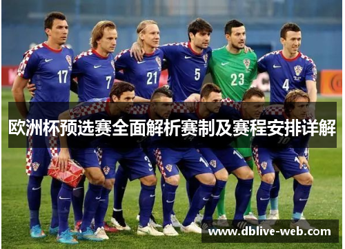 欧洲杯预选赛全面解析赛制及赛程安排详解