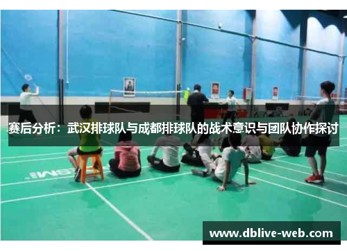 赛后分析：武汉排球队与成都排球队的战术意识与团队协作探讨