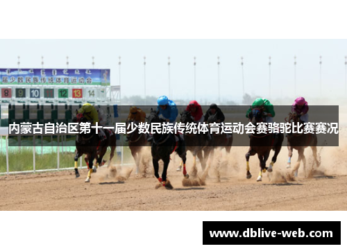 内蒙古自治区第十一届少数民族传统体育运动会赛骆驼比赛赛况